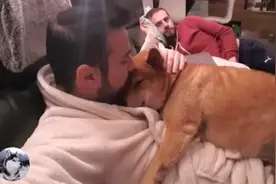 柴犬从小害怕打雷，主人抱着才敢睡，在你怀里，才有安全感图片