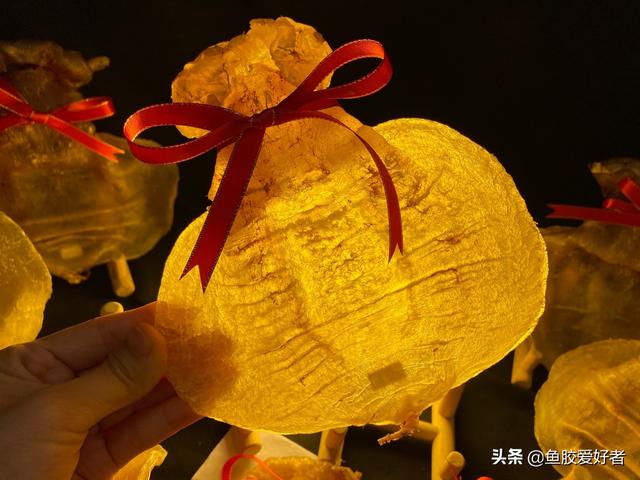 石肚鱼胶图片 2026年石肚鱼胶的功效与作用 石肚鱼胶图片 2026年石肚鱼胶的功效与作用