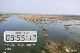 处理青苔，用这个小技巧快速解决图片
