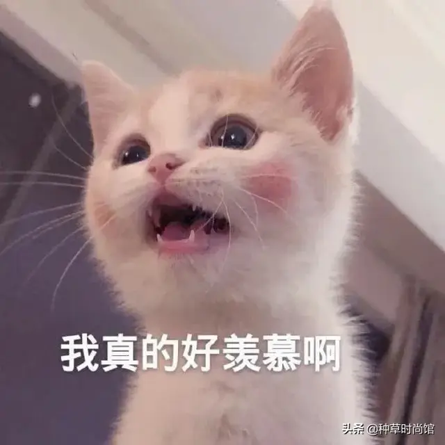 浣犵殑娲楅潰濂朵笂榛戝悕鍗曚簡鍚楋紵杩?娆惧埆涔帮紝浼氱儌鑴? onerror=