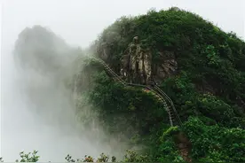 广东连山金子山发现一种山坑鱼，长相美丽却不能吃图片