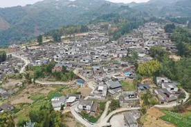 新华“多条腿走路” 脱贫致富更稳固图片