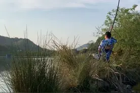 钓大鱼难，钓大青鱼更难，掌握四个关键知识让你“征服”它不再难图片