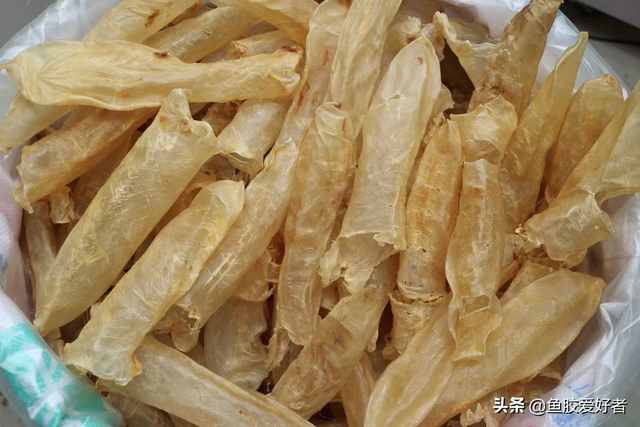 鱼胶的价钱 2026年鱼胶多少钱