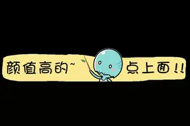 叶罗丽仙子裙子上的暗纹，一般发现不了，她的比冰公主还华丽图片