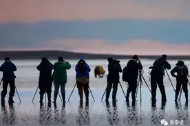 20个理由，为什么不应该交摄影师男友图片