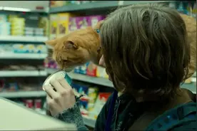 以为单身就能保住钱包，直到我开始养猫图片