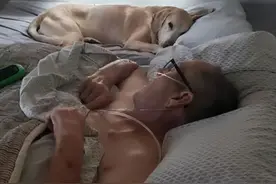 狗狗离世一个半小时后，主人也相继去世，彼此之间的羁绊让人泪目图片