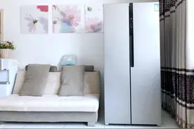 新飞冰箱新品评测：1999元的450升双变频风冷无霜对开门冰箱图片