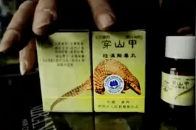 通乳、活血、提高生育力？专家辟谣：穿山甲的功效是假的图片