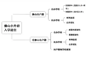 带你一文读懂佛山小升初政策图片