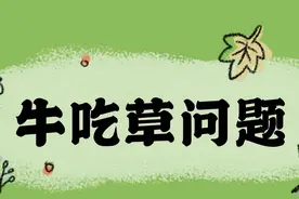 牛突然不吃草了是什么原因呢？牛不吃草怎么办？注意这四点图片