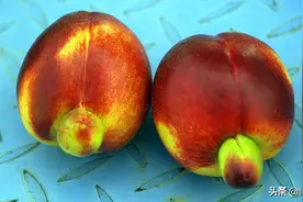 万物有灵！知道“怪物”是怎么来的吗？看过这些照片，你就明白了图片