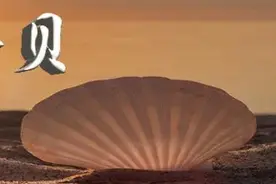沧海拾贝│一次难忘的境外渔船检验经历图片