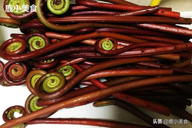 5月此野菜别忘吃，含“18种”氨基酸，简单炒，比菠菜鲜嫩下饭