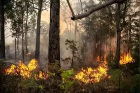 科学家称地球正在死亡，人类要何去何从？图片