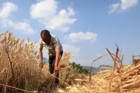 散文：那年那月图片