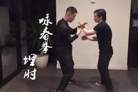咏春拳100式已整理出来了，现场视频教学，免费拿走图片
