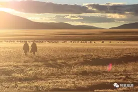 相约阿里！在秋日的美好中尽情沉醉！图片