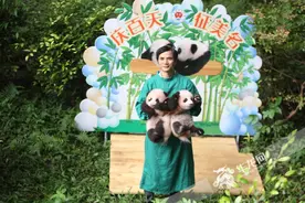 视频 | 前方高萌！重庆动物园双胞胎大熊猫宝宝满百天了 快来给它们取名图片
