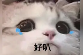 撩人表情包：游乐园有个旋转什么来着图片