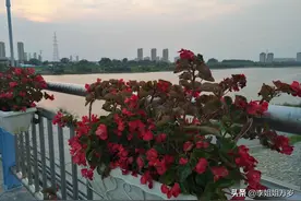 岁月静好，一定有人曾经或者正在为你负重前行图片