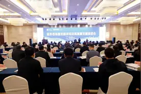 【第八届资本交易大会系列活动】 资本市场服务临沂经济高质量发展推进会召开图片