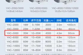 新手轻松养金鱼-选择鱼缸水泵，从不懂到十分懂（上）图片