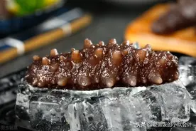 “海茄子”常被当作“海参”，老渔民：注意区分，弄懂不花冤枉钱图片
