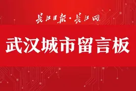武汉这些小学和中学将开建，看看有你家附近的吗？图片