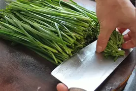 韭菜这一个吃法才过瘾，做法简单，出锅真香，好吃到停不住嘴！视频封面