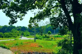 我二十二岁当了村官，贷五十万元，改善了处境的我爱情如期而至图片