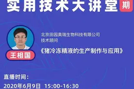 猪冻精——补上非瘟防控最后一块砖图片
