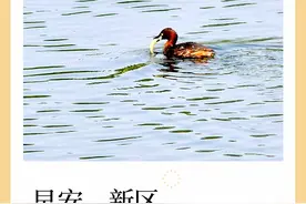 华西第二医院健康管理中心在兴隆湖畔开诊图片