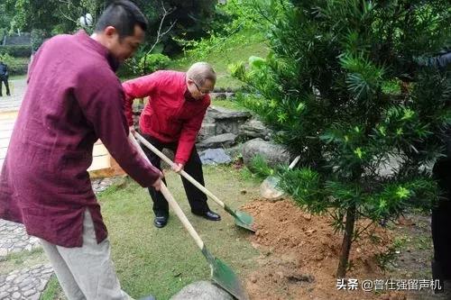 百年树人的树是什么意思（曾仕强教授种树和育人一样）