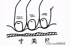 望闻问切系列第9篇：涩脉、虚脉、实脉、长脉、短脉的科学机理图片