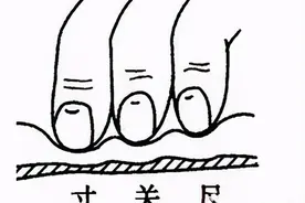 望闻问切系列第9篇：涩脉、虚脉、实脉、长脉、短脉的科学机理图片
