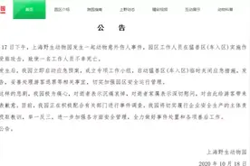 上海野生动物园员工遭熊攻击致死，现场到底发生了什么？图片