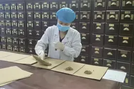 中医提醒：银杏果具一定毒性 食用须当心图片