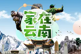 《家在云南》鸡㙡菌——菌中“奇葩”图片