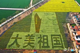 太撩人！焦作百亩油菜花开成海！趁天好，打卡新晋网红地去！（附地址）图片