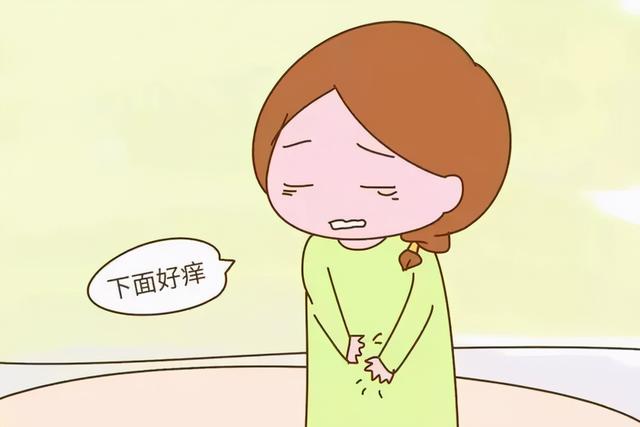 女性的难言之隐——下体痒痒怎么办？