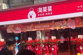 阿里社区电商品牌升级为“淘菜菜”，页面入口已放在淘宝APP首页图片