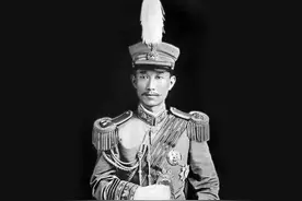 “护国将军”蔡锷34岁英年早逝，享受国葬，其后代现状如何？图片