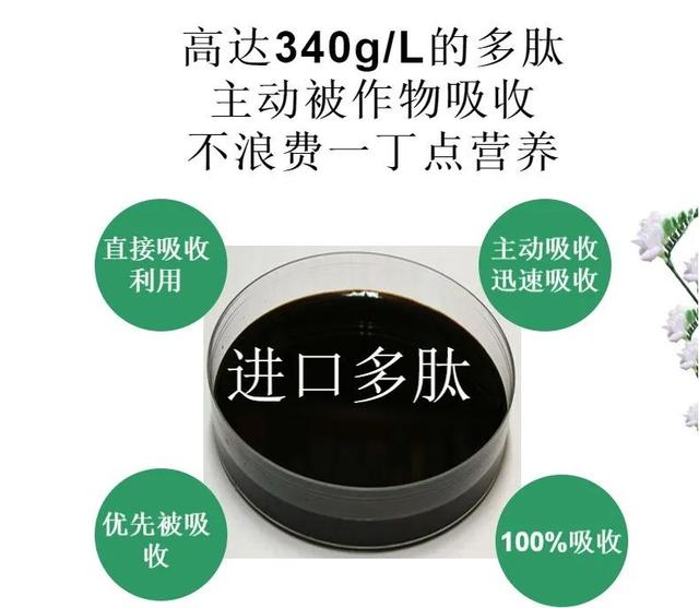 「氨基酸肥」深度解析，看看氨基酸在花芽分化上扮演什么重要角色