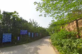 武汉三环汤逊湖边郊野游：灌木丛衍生出无人区，垂钓园随处可见图片