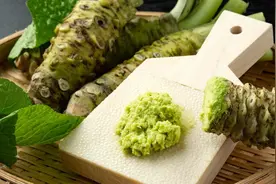 #日本味道之十九——蔬菜篇# 日本山葵（辣根）的吃法图片