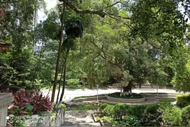 想玩游戏怎么办？教你几招摆脱游戏的“控制”图片