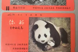 永远的大熊猫母亲“美美”图片