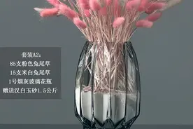 客厅卧室干花真花和花瓶套装饰情人草狗尾巴棉花兔尾草干花图片